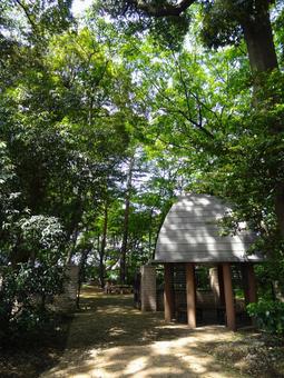 三井の森公園 三井の森公園,公園,自然の写真素材