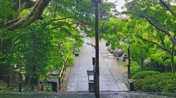 坂東33観音 04番 長谷寺 雨天の参道 坂東33観音 04番 長谷寺 雨天の参道 長谷寺,海光山,慈照院の写真素材
