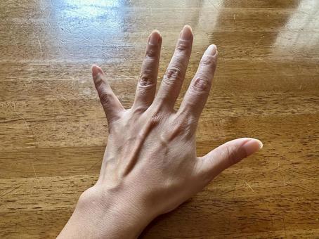 手の甲 手の甲の写真