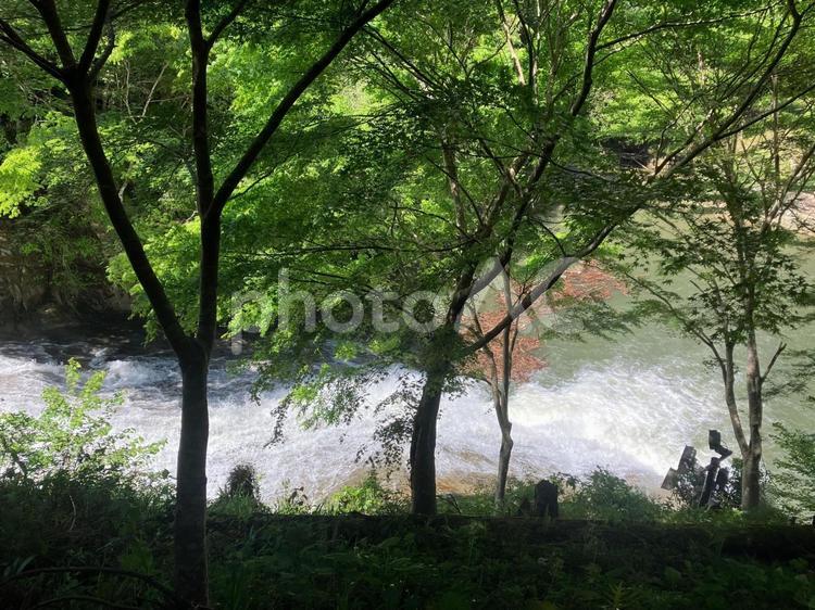 粟又の滝の散策路風景 粟又の滝,養老渓谷,滝の写真素材