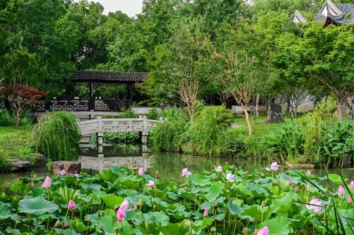 Photo, suzhou, tiger hill, tower, 