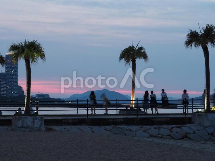 福岡の夕暮れ バカンス,ヤシ科,リゾートホテルの写真素材