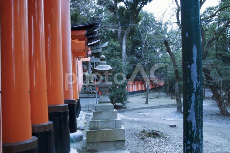 伏見稲荷 パワースポット,京都,観光の写真素材