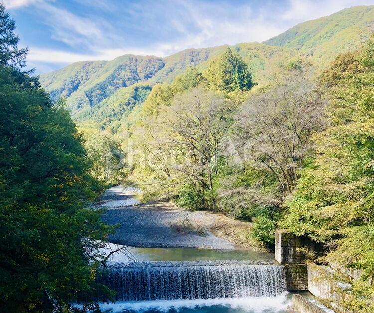 夏から秋へ移り変わる木々と流れる川 秋,自然,季節の変わり目の写真素材