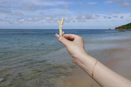 海とサンゴ 海,宮古島,サンゴの写真素材