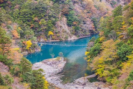 静岡県　寸又峡の夢の吊橋・秋景色 寸又峡,紅葉,風景の写真素材