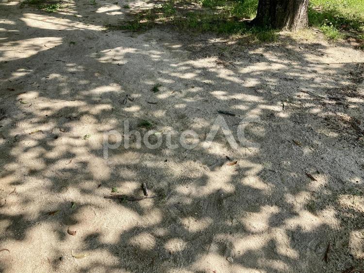 木漏れ日テクスチャー 木漏れ日,地面,木陰の写真素材