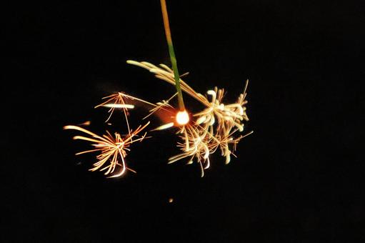 夏の夜に美しく儚い「思い出の線香花火」 夏の夜に美しく儚い「思い出の線香花火」の写真