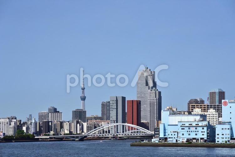 東京港～築地大橋、隅田川、スカイツリー～ 東京港,隅田川,東京スカイツリーの写真素材