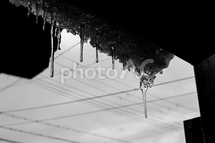 屋根からぶら下がる氷柱 氷柱,冬,透明の写真素材