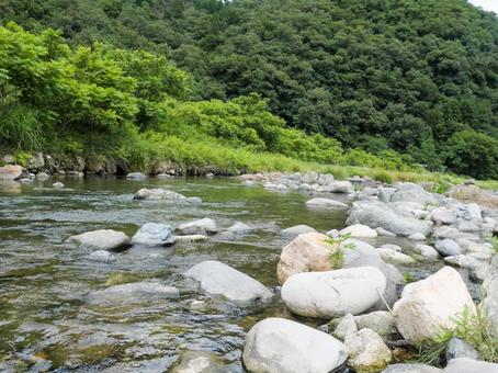 夏の川(兵庫県 大屋川) 夏の川(兵庫県 大屋川)の写真