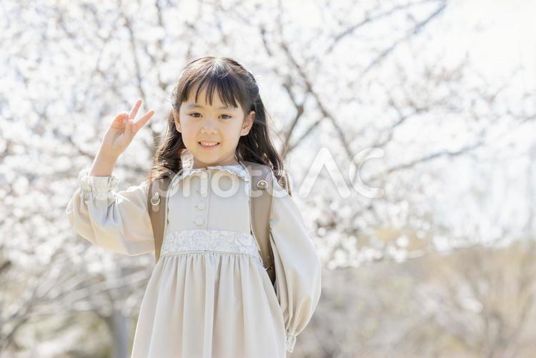Vサイン　新一年生 新一年生,一年生,ピースの写真素材