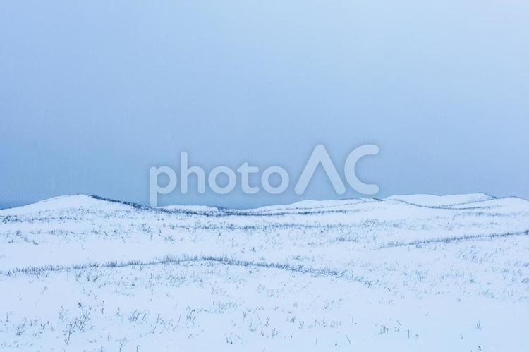 雪に覆われた原野の幻想風景 冬,北海道,雪原の写真素材