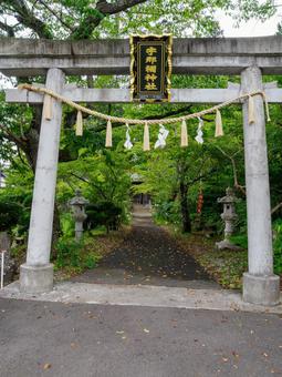 宇那禰神社⑵ 宇那禰神社⑵ 神社,宇那禰神社,神社仏閣の写真素材