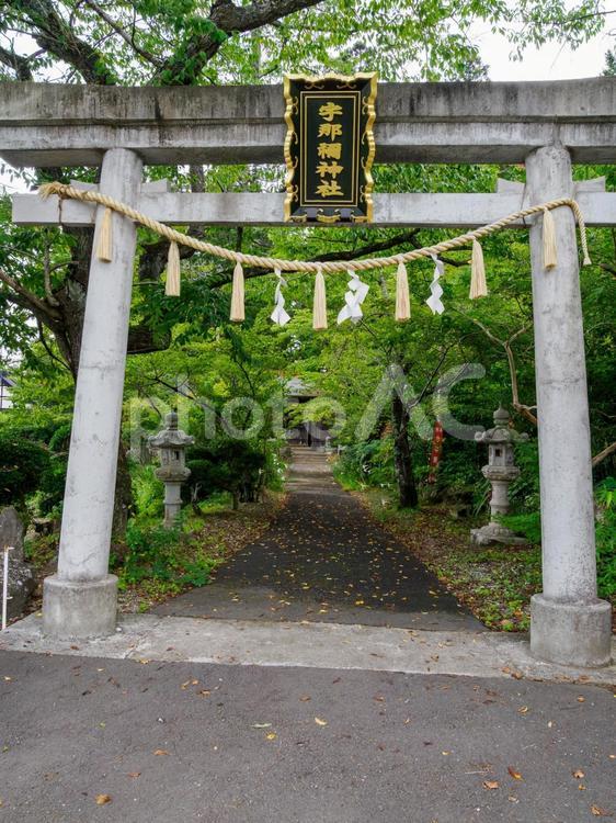 宇那禰神社⑵ 神社,宇那禰神社,神社仏閣の写真素材