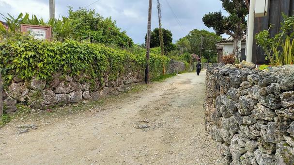 竹富島・原風景（沖縄） 道,風景,島の写真素材