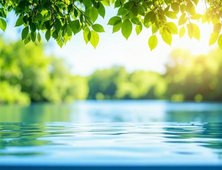 夏の湖畔と新緑の木漏れ日背景2 夏の湖畔と新緑の木漏れ日背景2の写真
