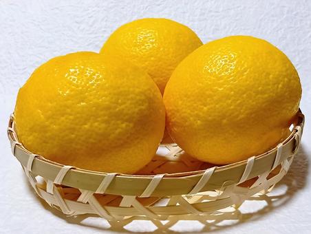 柚子 柚子,果物,ミカン科の写真素材