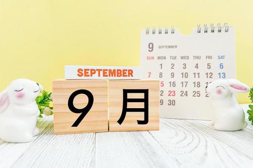 9月のカレンダーとウサギ 9月のカレンダーとウサギ 九月,9月,カレンダーの写真素材