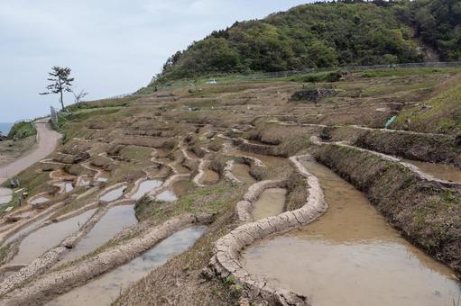田植え前の白米千枚田 田植え前の白米千枚田 千枚田,白米,田植え前の写真素材