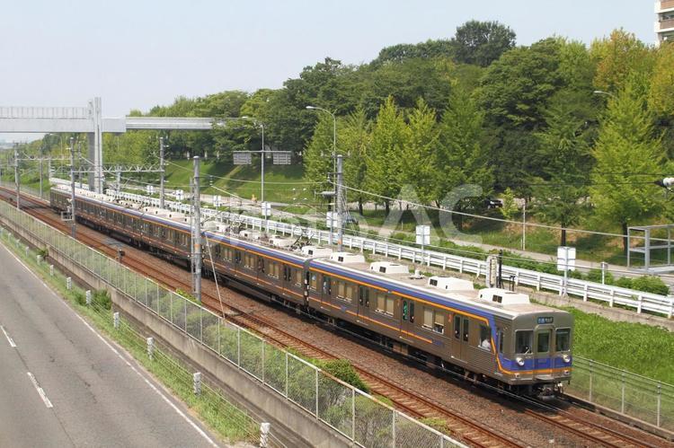 南海電鉄高野線、6200系車両 鉄道,交通,電車の写真素材