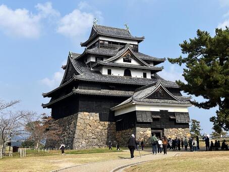 松江城 松江城,石垣,杉の写真素材