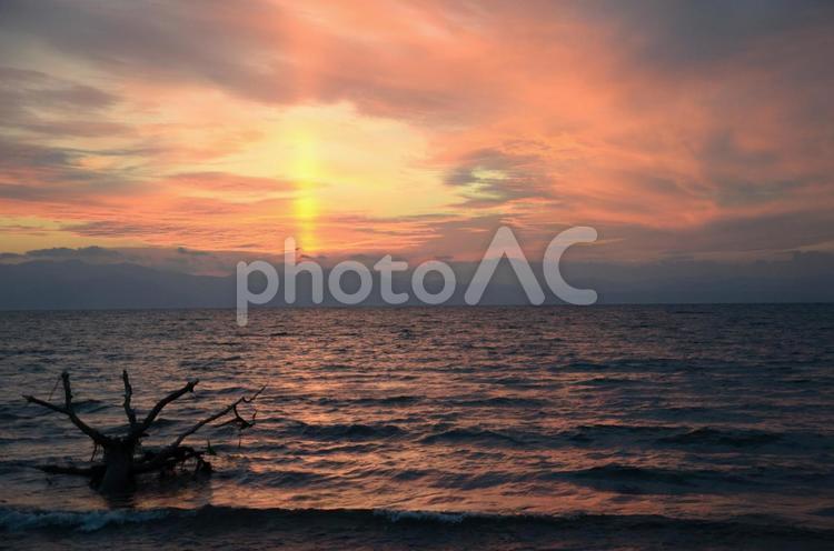 夕陽 夕陽,夕日,空の写真素材