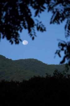 稜線に月 月,山,稜線の写真素材