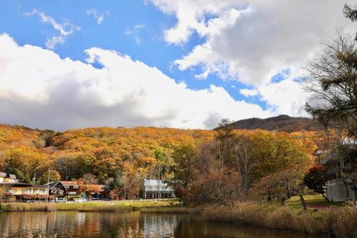 紅葉の白樺湖の写真
