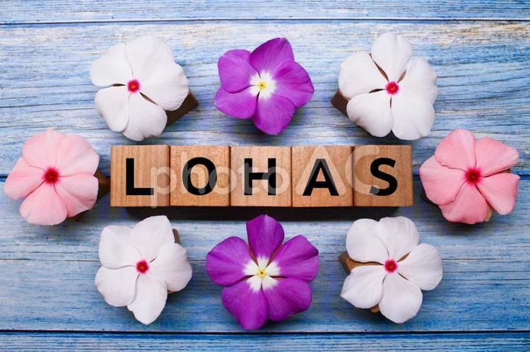 地球に優しい5文字の言葉【LOHAS】 素材,イメージ,イメージ素材の写真素材