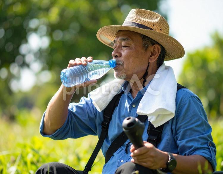 農作業、炎天下の真夏で給水で熱中症予防 熱中症対策,水分補給,夏の写真素材