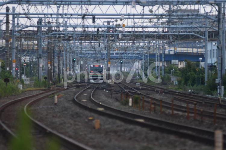 東海道線　鎌倉（客貨）踏切 東海道線,鎌倉（客貨）踏切,電車の写真素材