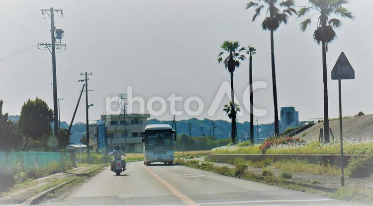海沿いの道路　オートバイとバス オートバイ,バス,乗り物の写真素材