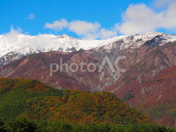 三段紅葉　白馬村　北アルプス 三段紅葉,白馬村,北アルプスの写真素材