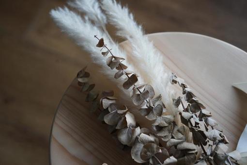 ドライフラワー静寂な美しさ ドライフラワー静寂な美しさの写真