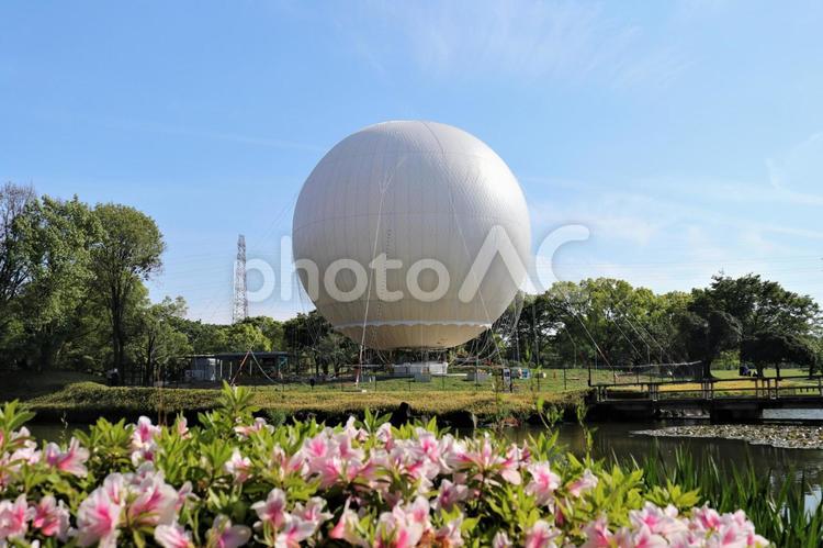 空を待ちわびる気球 堺,大仙公園,気球の写真素材