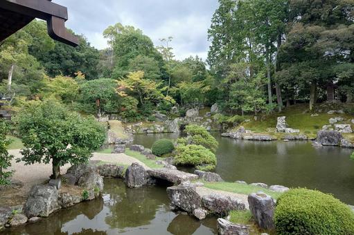 京都府-醍醐寺-三宝院-庭園 京都府-醍醐寺-三宝院-庭園 醍醐寺,寺,深雪山の写真素材