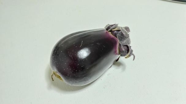 初収穫の茄子 初収穫の茄子の写真