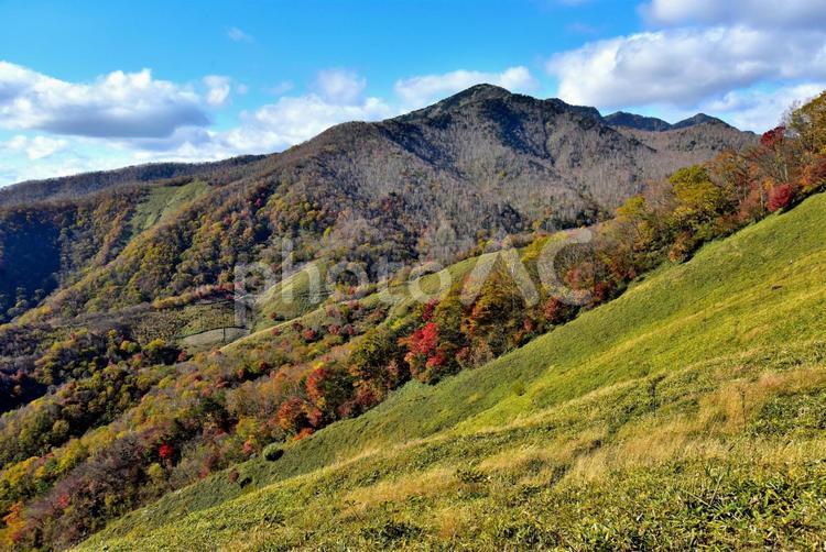秋の袈裟丸山（栃木足尾） 秋,紅葉,山の写真素材