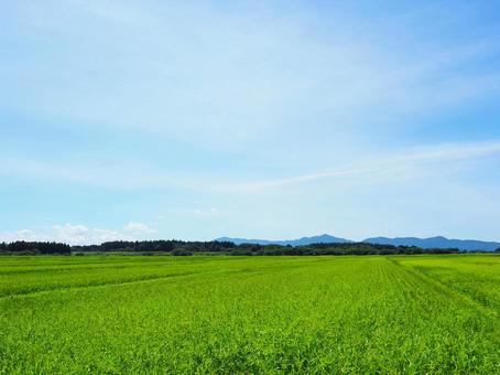夏の景色64 夏の景色64の写真