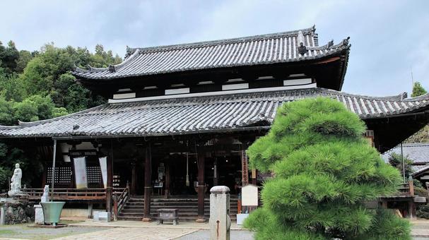 初秋の三井寺観音堂 西国十四番札所 初秋の三井寺観音堂 西国十四番札所 三井寺,観音堂,初秋の写真素材