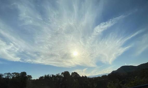 大空 大空の写真