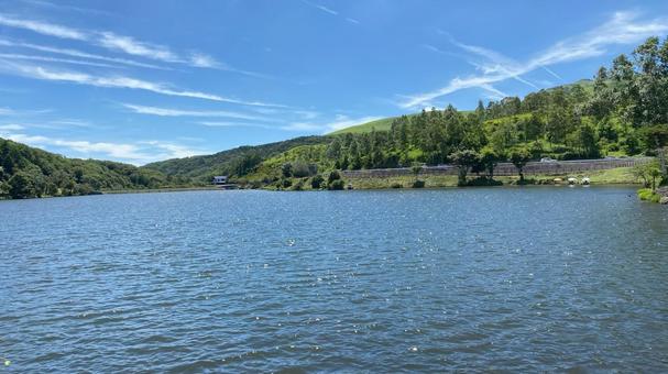 夏のビーナスライン・白樺湖(19) 夏のビーナスライン・白樺湖(19) 白樺湖,ビーナスライン,夏の写真素材
