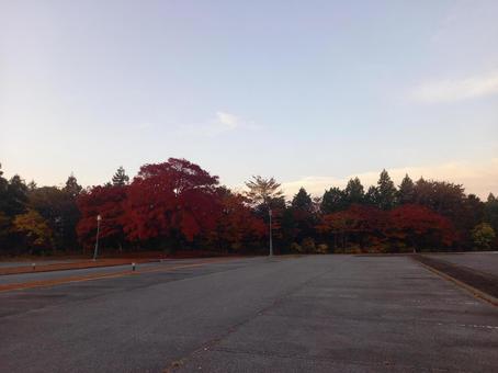 秋の夕暮れ 紅葉の紅葉 秋の夕暮れ 紅葉の紅葉 紅葉,モミジ,秋の空の写真素材