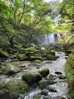 那須の乙女の滝 乙女の滝,那須,滝の写真素材