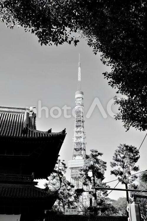 増上寺界隈1　モノクロ コピースペース,モノクロ,冬の写真素材