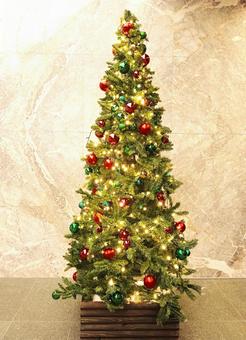 クリスマスツリー　１ クリスマスツリー,クリスマス,夜の写真素材