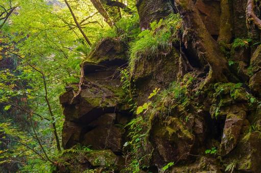 崖 崖 崖,登山,トレッキングの写真素材