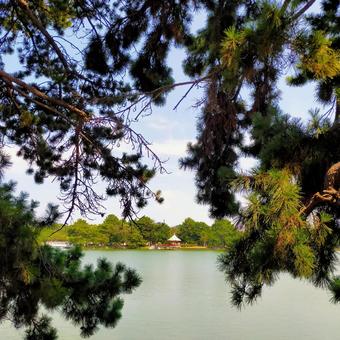 公園 公園 福岡,夏,風景の写真素材