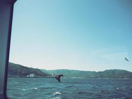 船から見える物 海,船,レトロの写真素材